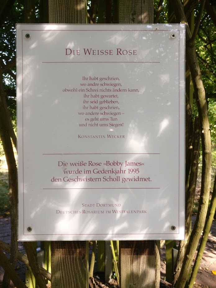 White Rose by Konstantin Wecker - a poem for the Scholl siblings