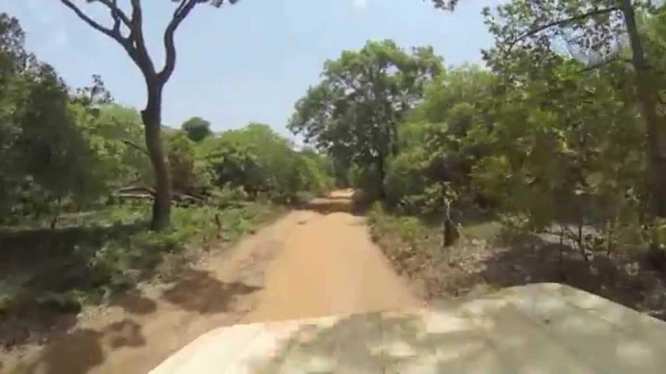 Parque Natural Lagoas Cufada, Guiné-Bissau