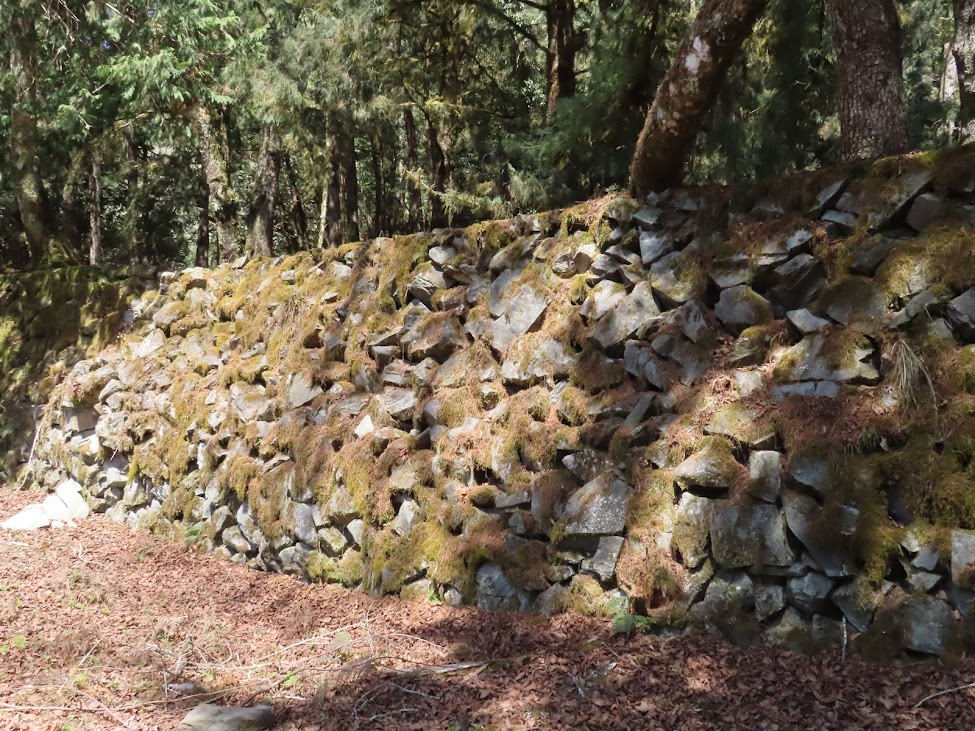 2023_八通關越道路 之 大水窟山屋~塔達芬營地