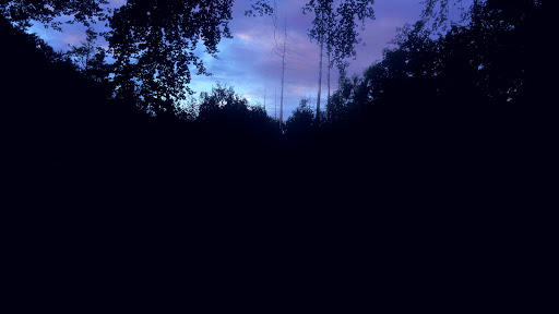 Google Photo