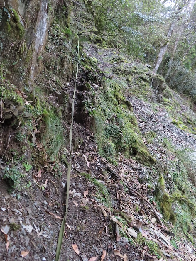 2023_八通關越道路 之 大水窟山屋~塔達芬營地