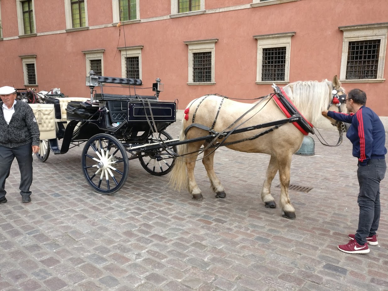A horse carriage in the old town