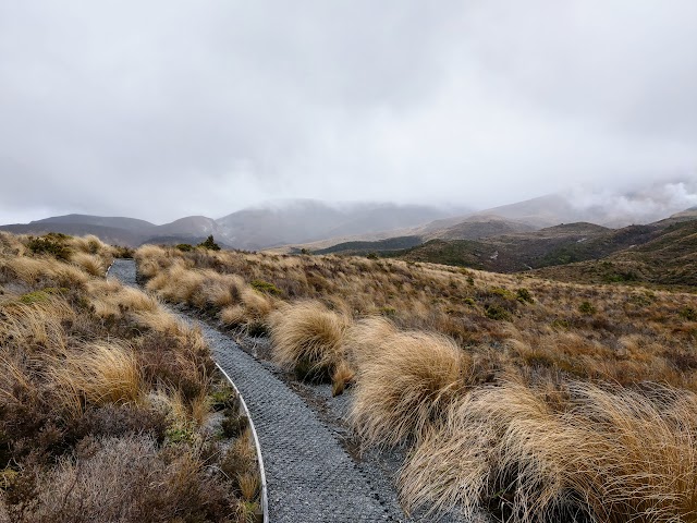 Tongariro meadows track