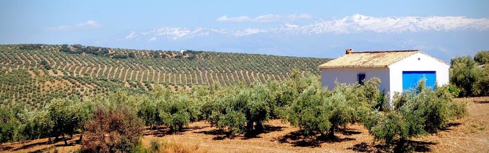 View of snow covered peak of the Sierra Nevada in Andalucia Spain