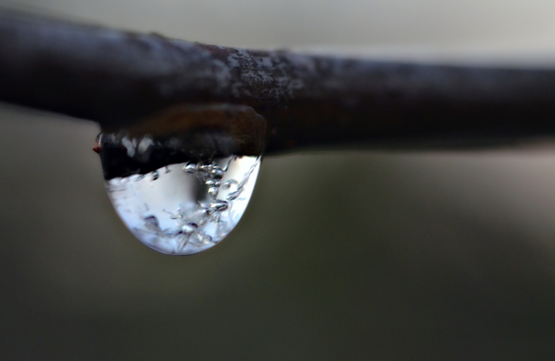 Life Of A Frozen Droplet