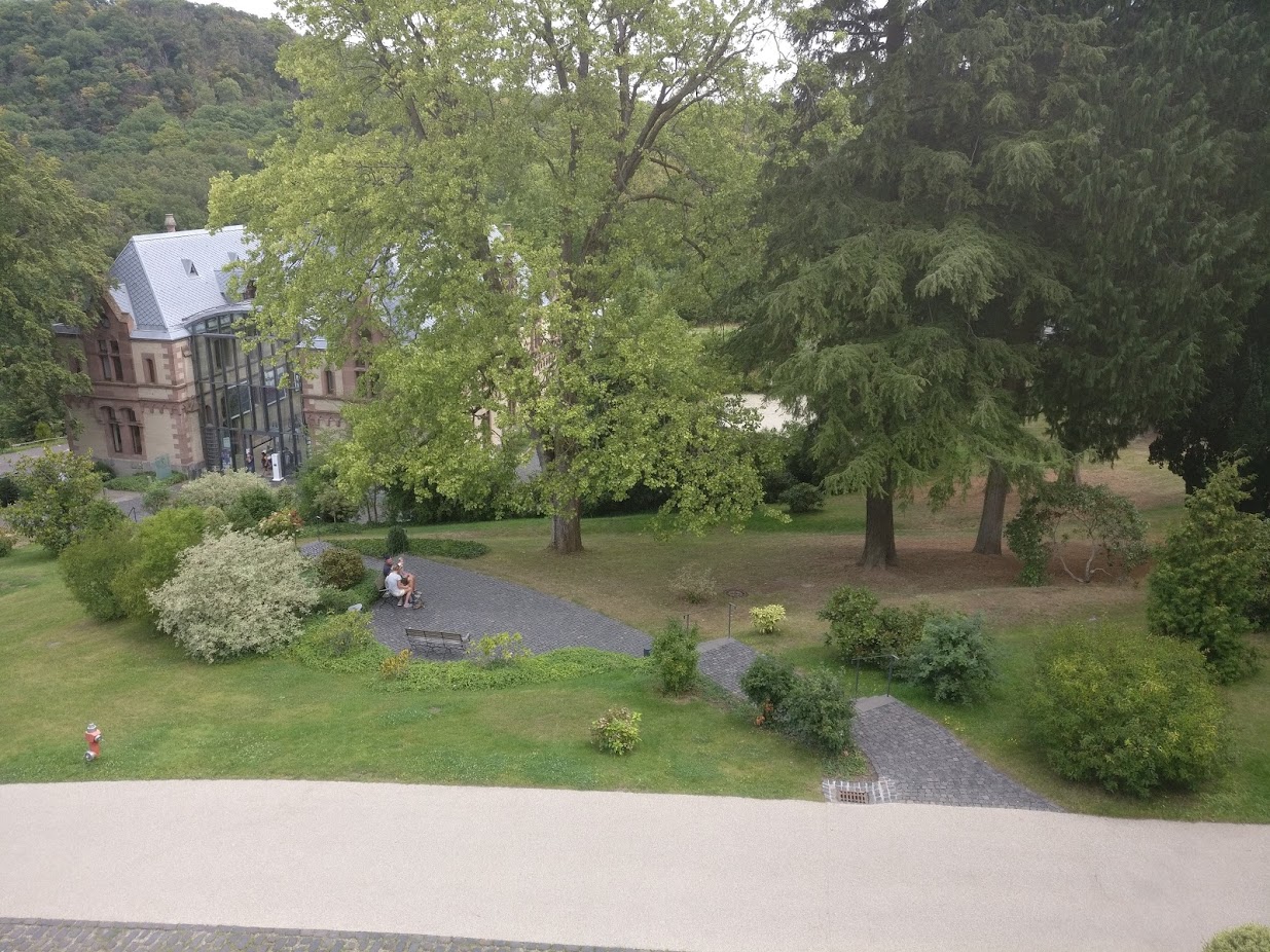 Another view of the garden from the castle terrace