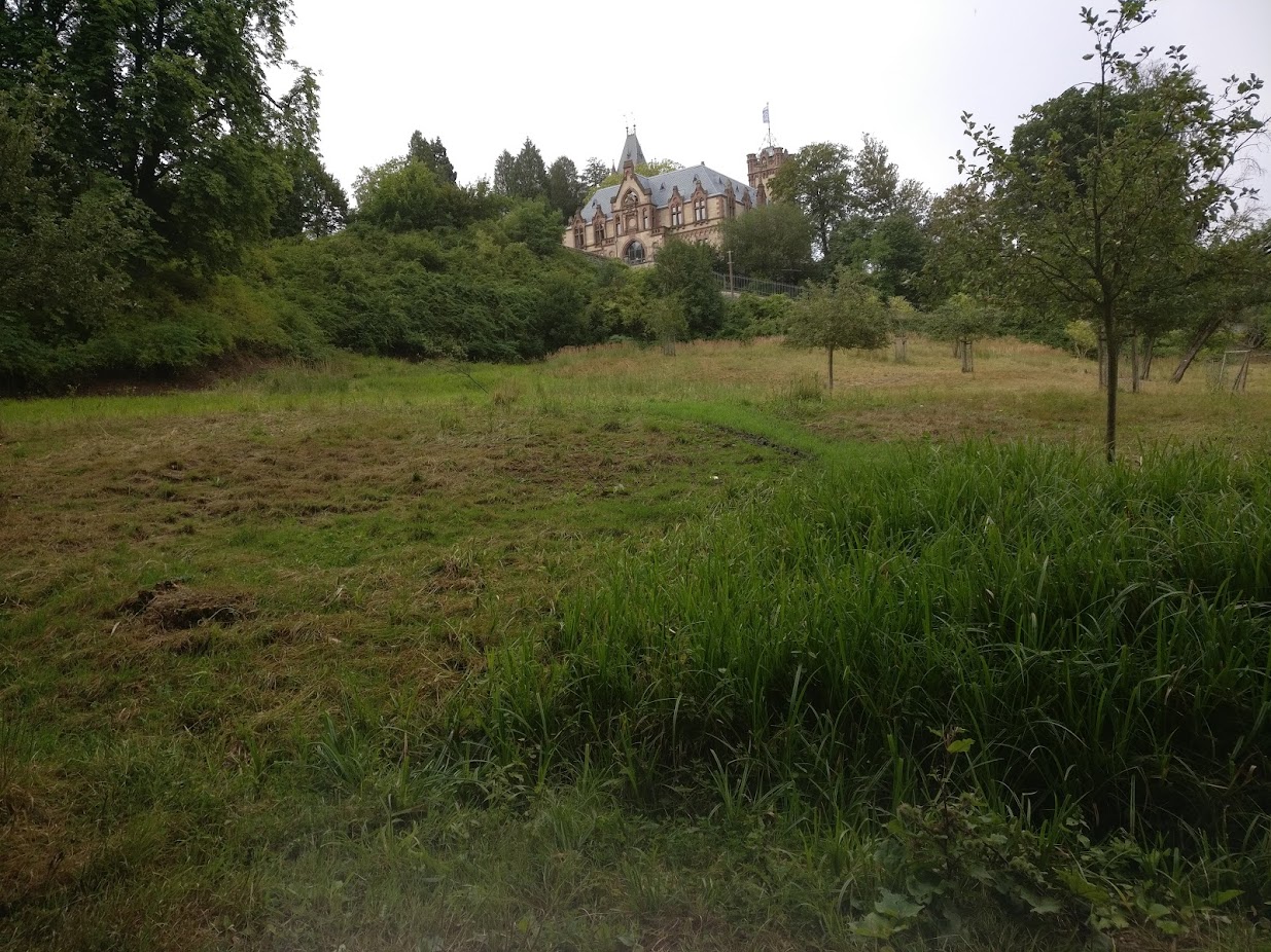 A view of the castle (semi-hidden by trees) from a lower point on the road