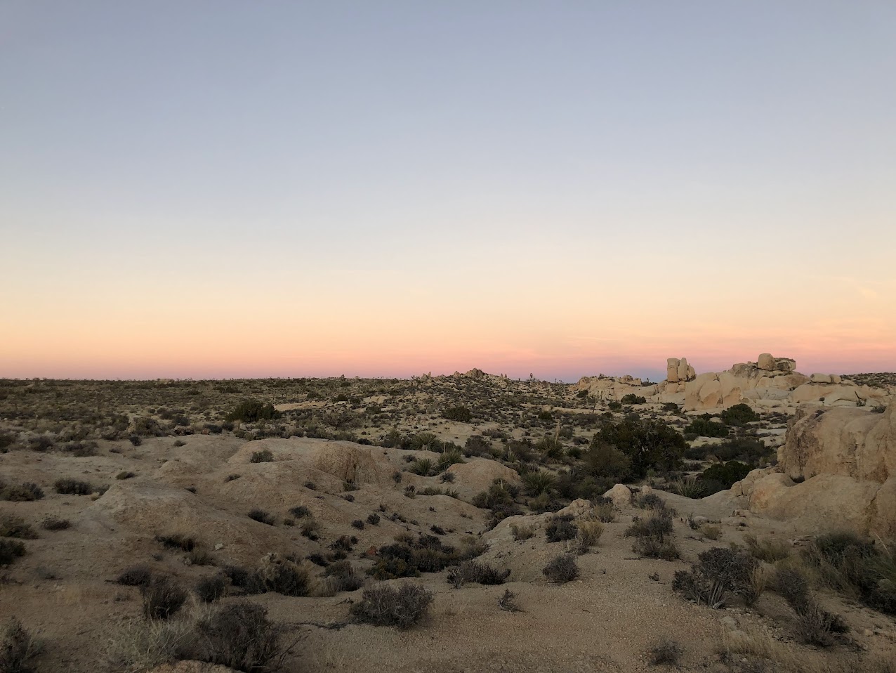A backpackin night in Joshua Tree