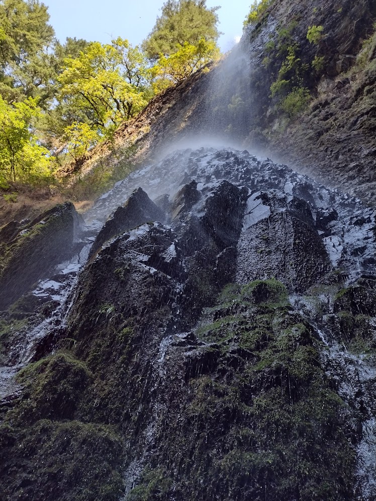 Silver Falls SP - Double Falls