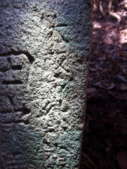 写真iimg9182
