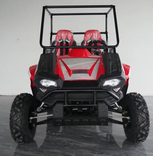 Red 170cc Farm UTV Buggy 2WD EFI Side by Side Utility Vehicle