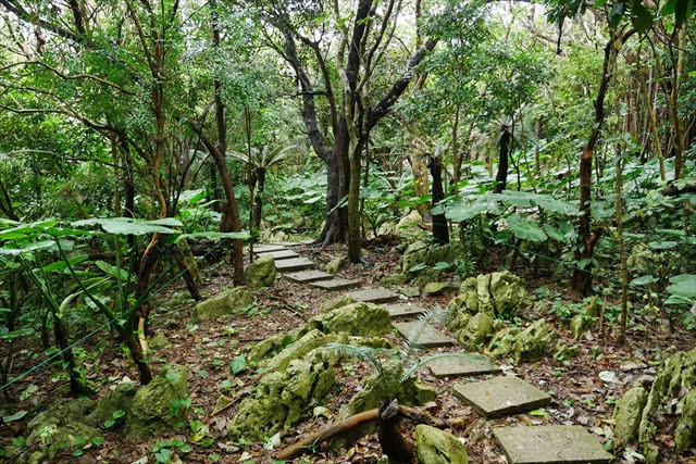 大石林山