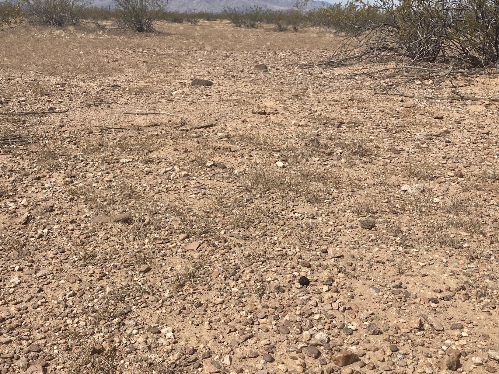 Spotting sacred cintamani stones amongst other stones