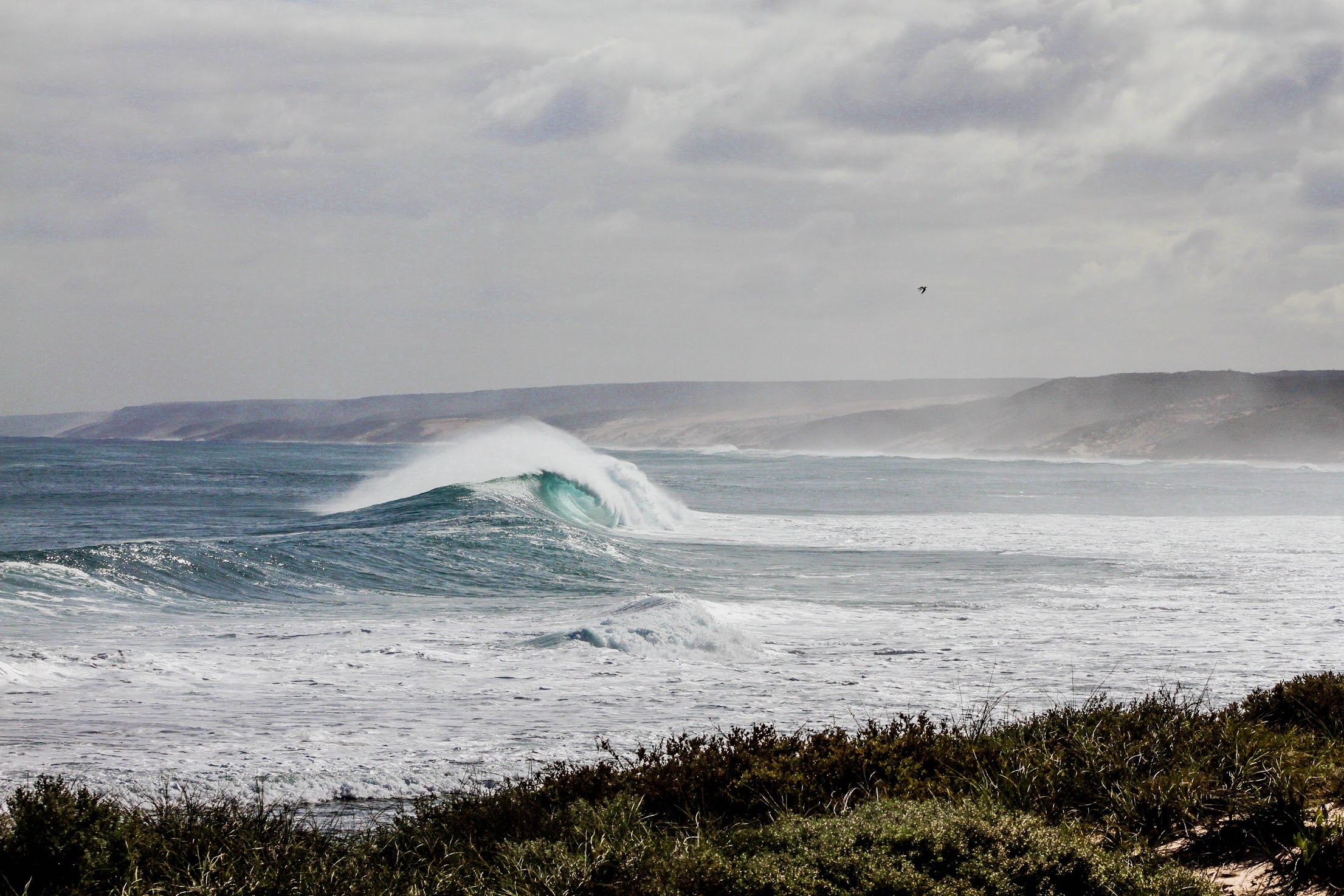 surfen-Denemarken