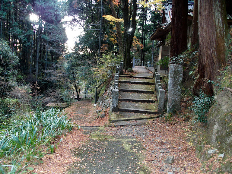 写真iimg8930
