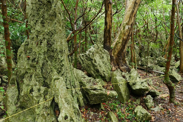 大石林山