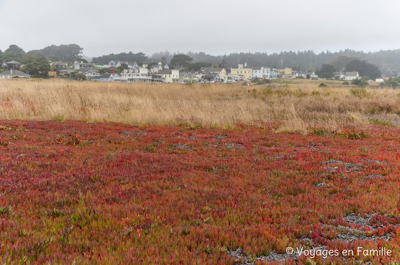 Mendocino