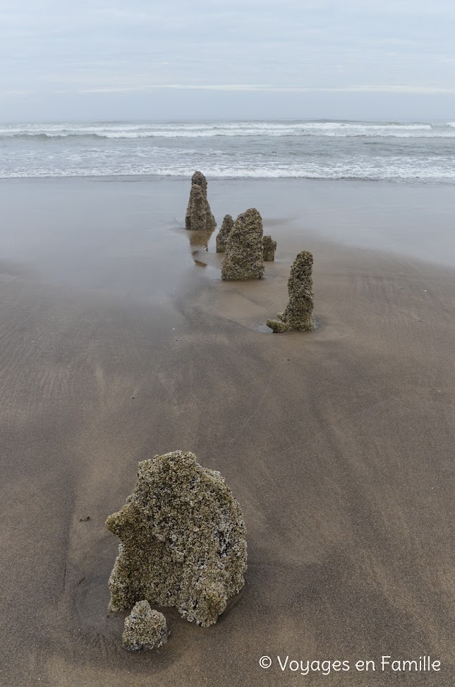 Neskowin Beach