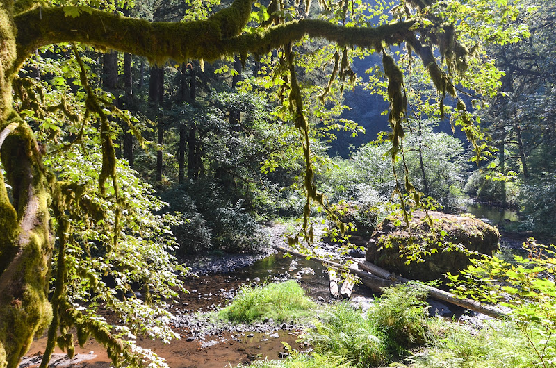 Silver Falls SP