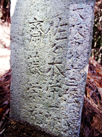 写真iimg8889