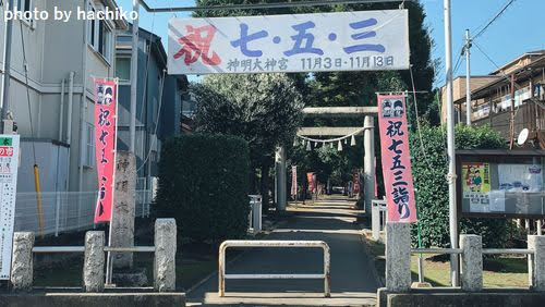 相模原市　七五三　神社　おすすめ　緑区