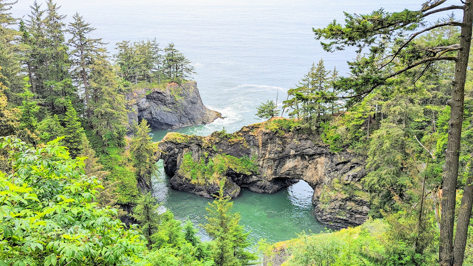 Guide to Samuel H Boardman Scenic Corridor: Natural Bridges