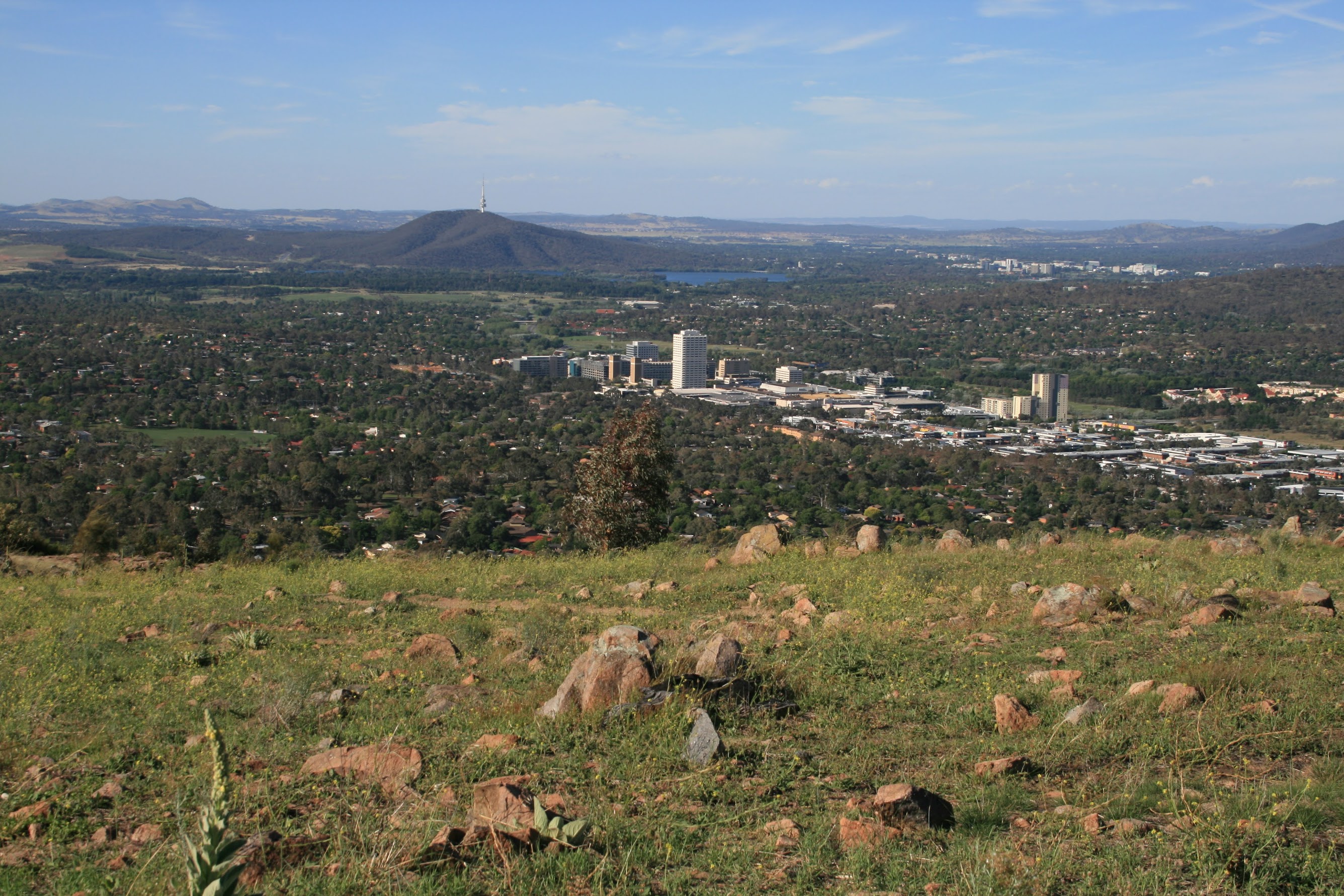 29 Dec 2008: Narrabundah Hill, Cooleman Ridge NR and Mt Taylor NR