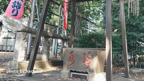 相模原　橋本　神社　手水　