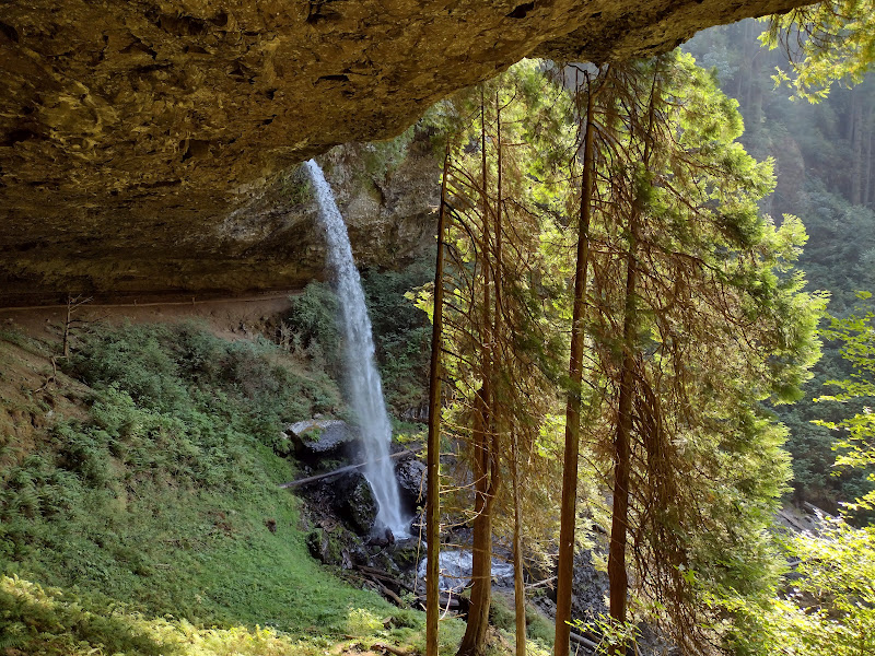 Silver Falls SP - North Fall