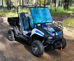 170cc Farm UTV Buggy 2WD EFI Side by Side Utility Vehicle