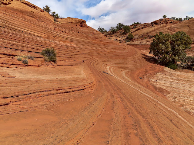 Wavy sandstone layers