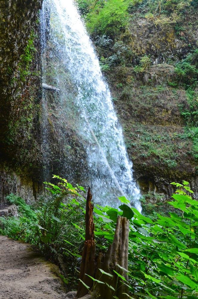 Silver Falls SP - Middle North Falls