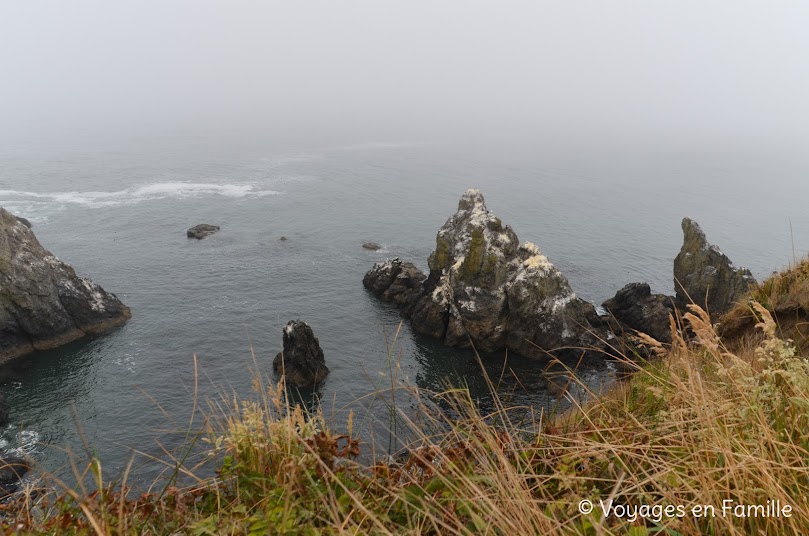 Yaquina Head