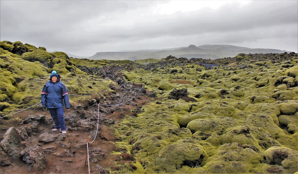 Islandia, un país que cautiva - Blogs de Islandia - 14/05/22. DE REGRESO HACIA EL OESTE. (15)