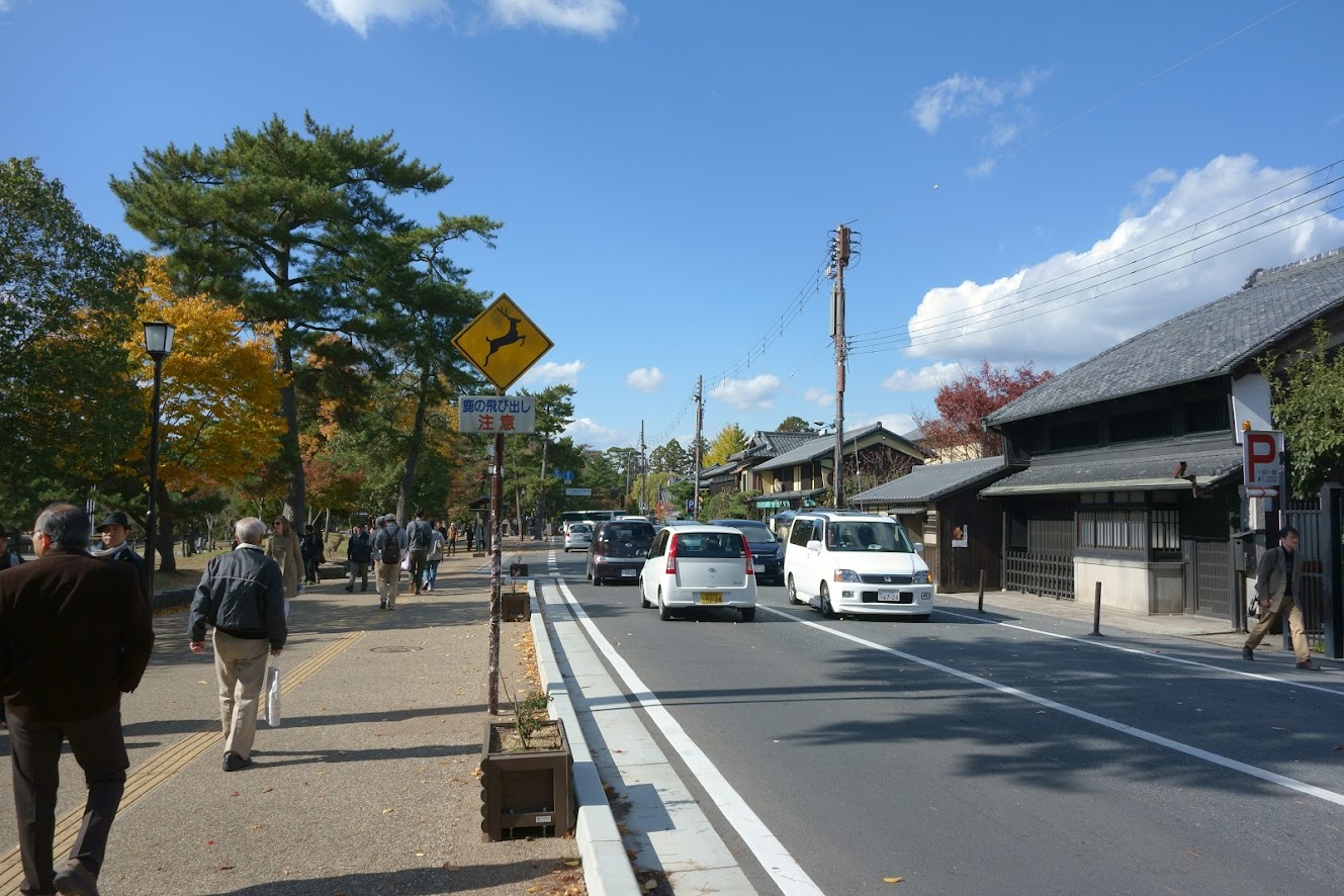 DSC05711