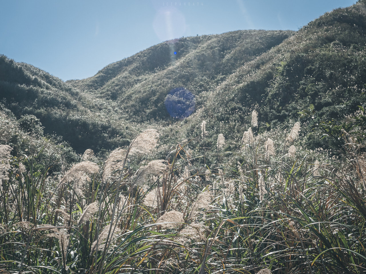 草山公路 草山戰備道