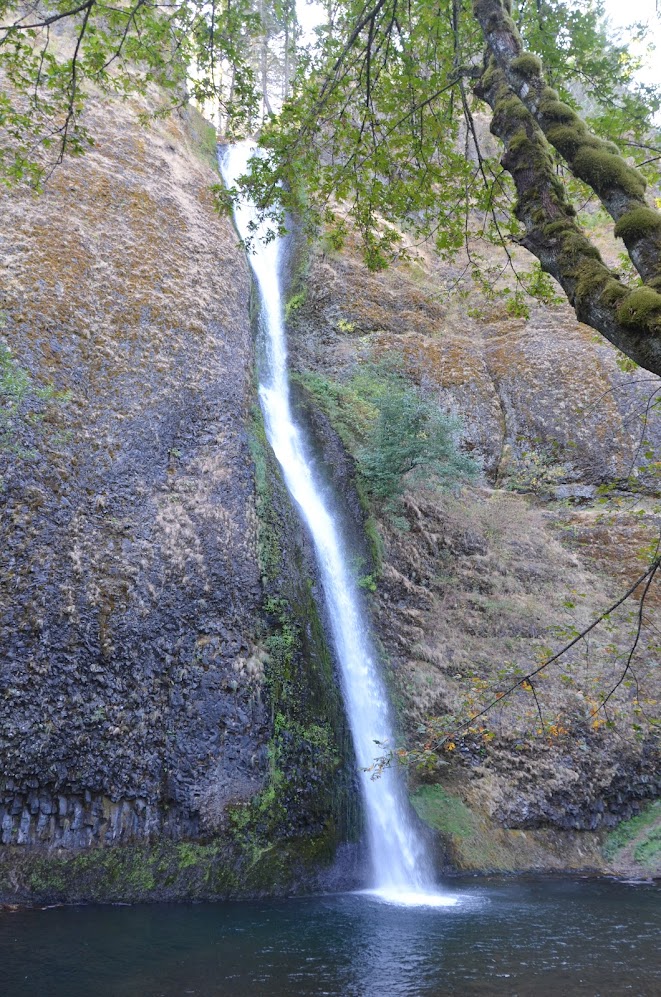 Horsetail Falls - Columbia river gorge