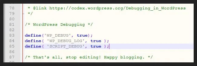 Enable debugging tool in WordPress
