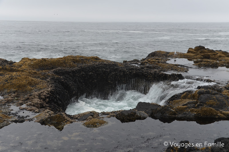 Cape Perpetua - Thor's well