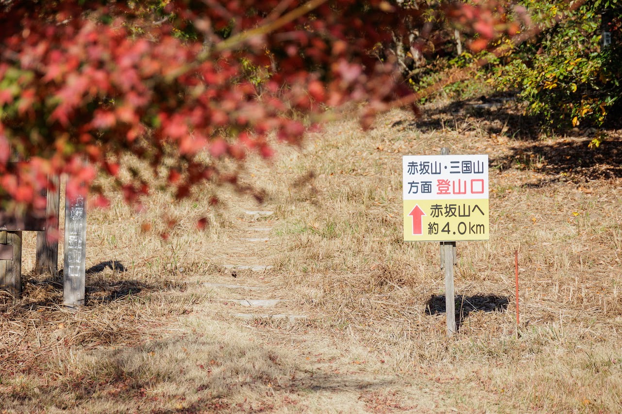 赤坂山ハイキング　高島市のオススメ登山コース