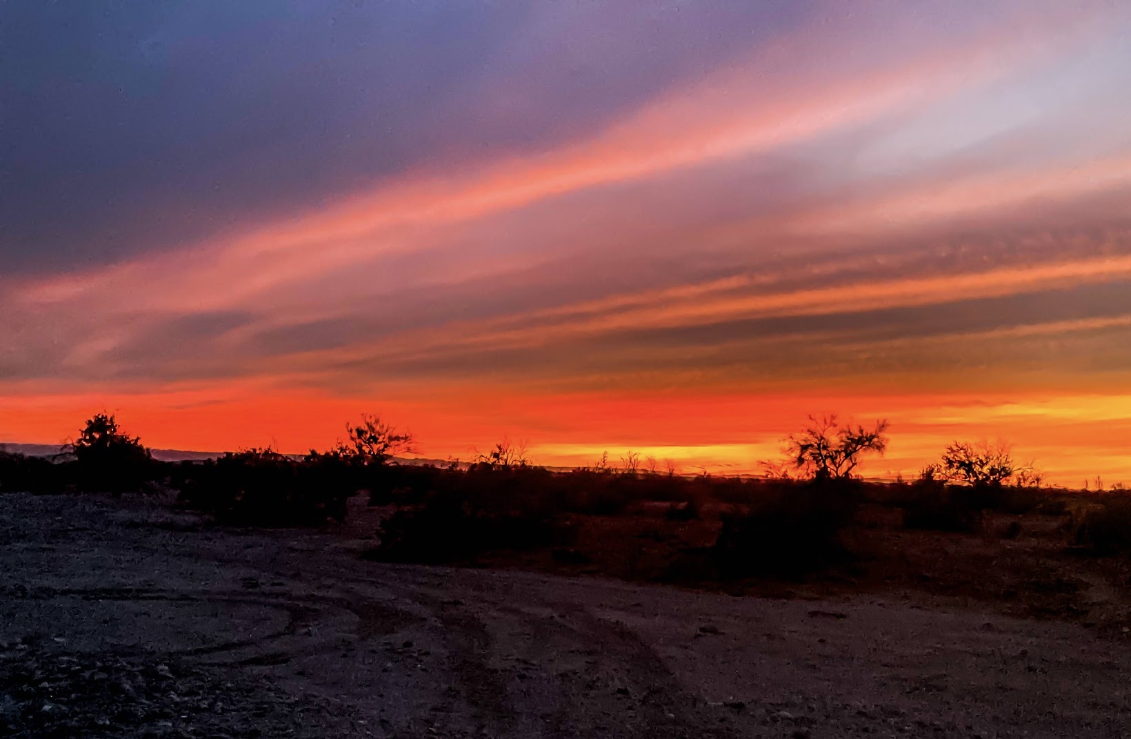 Sunset in the desert