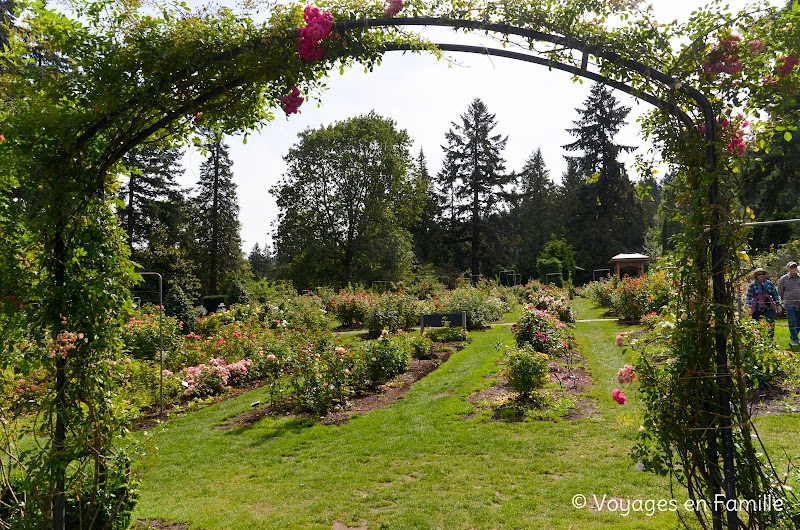 Washington park, rose test garden Portland