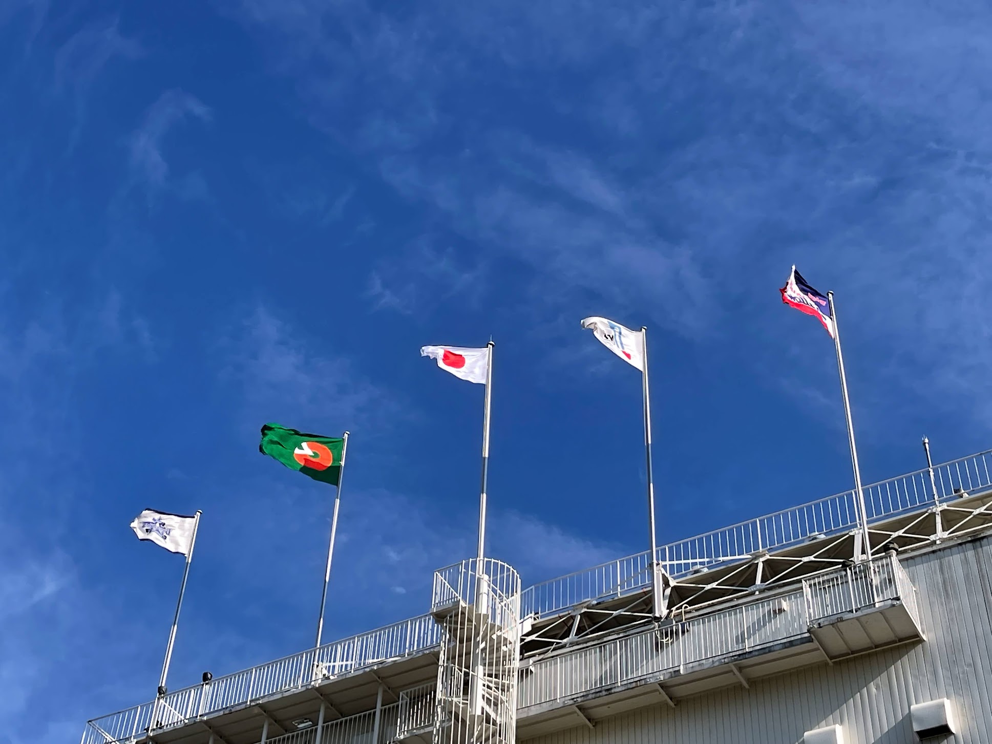 横浜スタジアムに野球観戦しに行こう