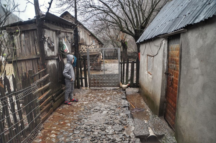 A boy looking at a domesticated chicken in Vukel, Shkoder County, Albania