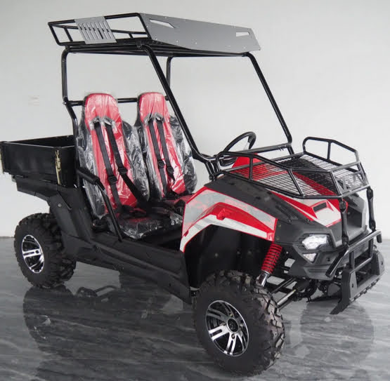 Red 170cc EFI Farm UTV Buggy 175cc 2WD EFI Side by Side Utility Vehicle