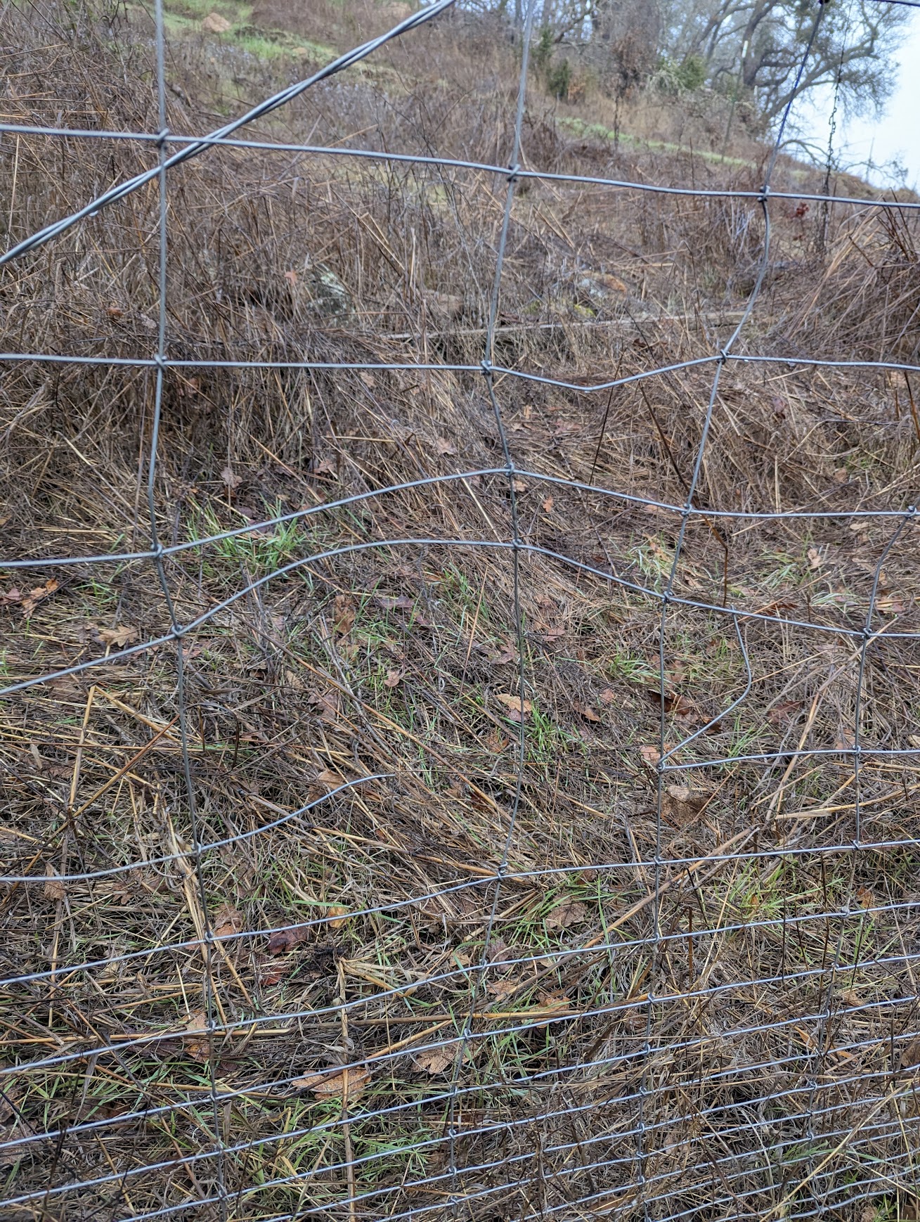 hole in fence