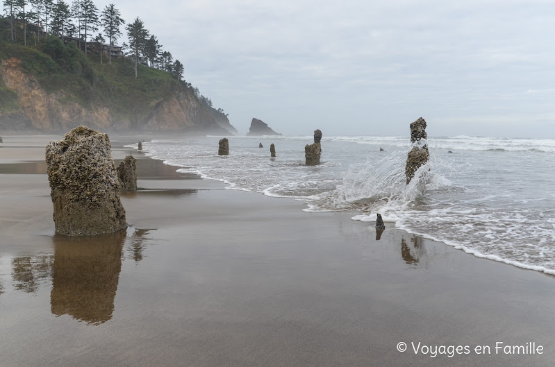 Neskowin Beach