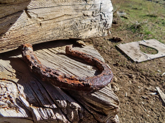 Horseshoe and outhouse seat