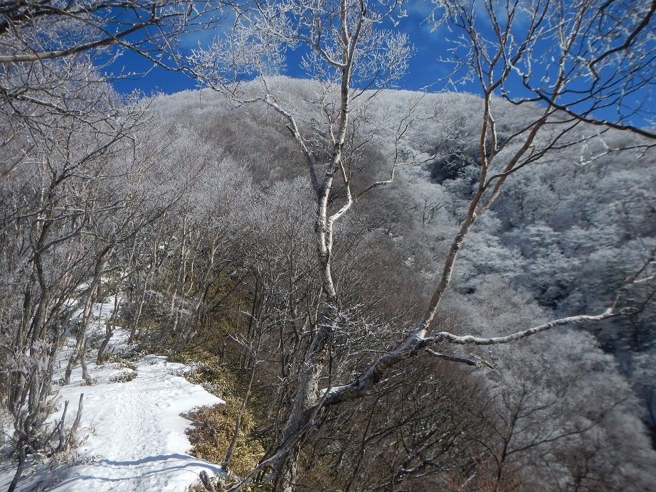 No,413　上州：赤城山　黒檜山（1827ｍ）駒ヶ岳（1685ｍ）