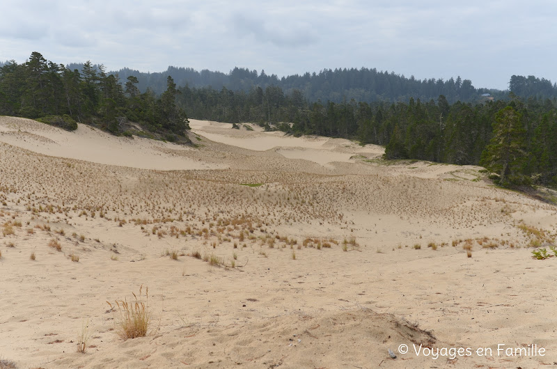 Oregon Dunes NRA - Dellenback Trail